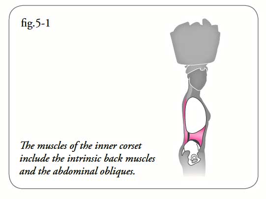 Illustration of the inner corset from Lesson 5 of '8 Steps to a Pain-Free Back'