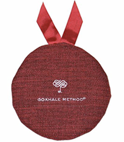 Gokhale Method® head cushion, top view