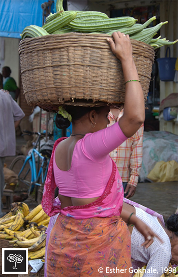 Woman head loading basket of ridged squash, India, side view