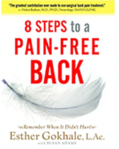8 Steps to a Pain-Free Back - English