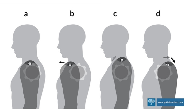Diagram of figure x 4 performing backward shoulder roll.