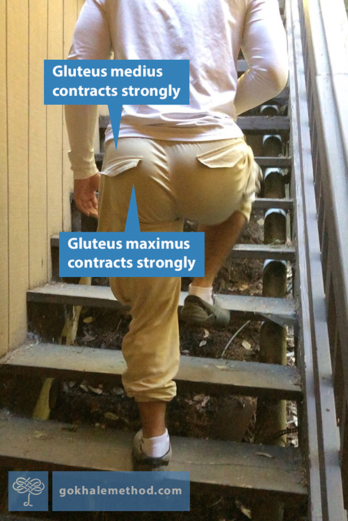 glutes of the supporting leg actively contracting climbs steps, back view.