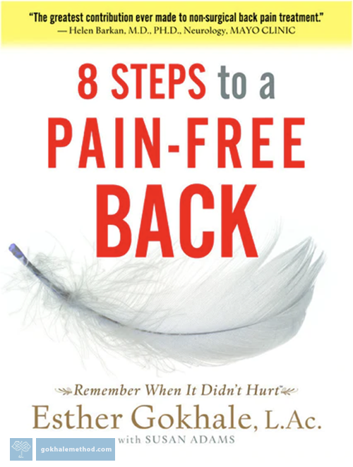 Front cover of 8 Steps to a Pain Free Back by Esther Gokhale
